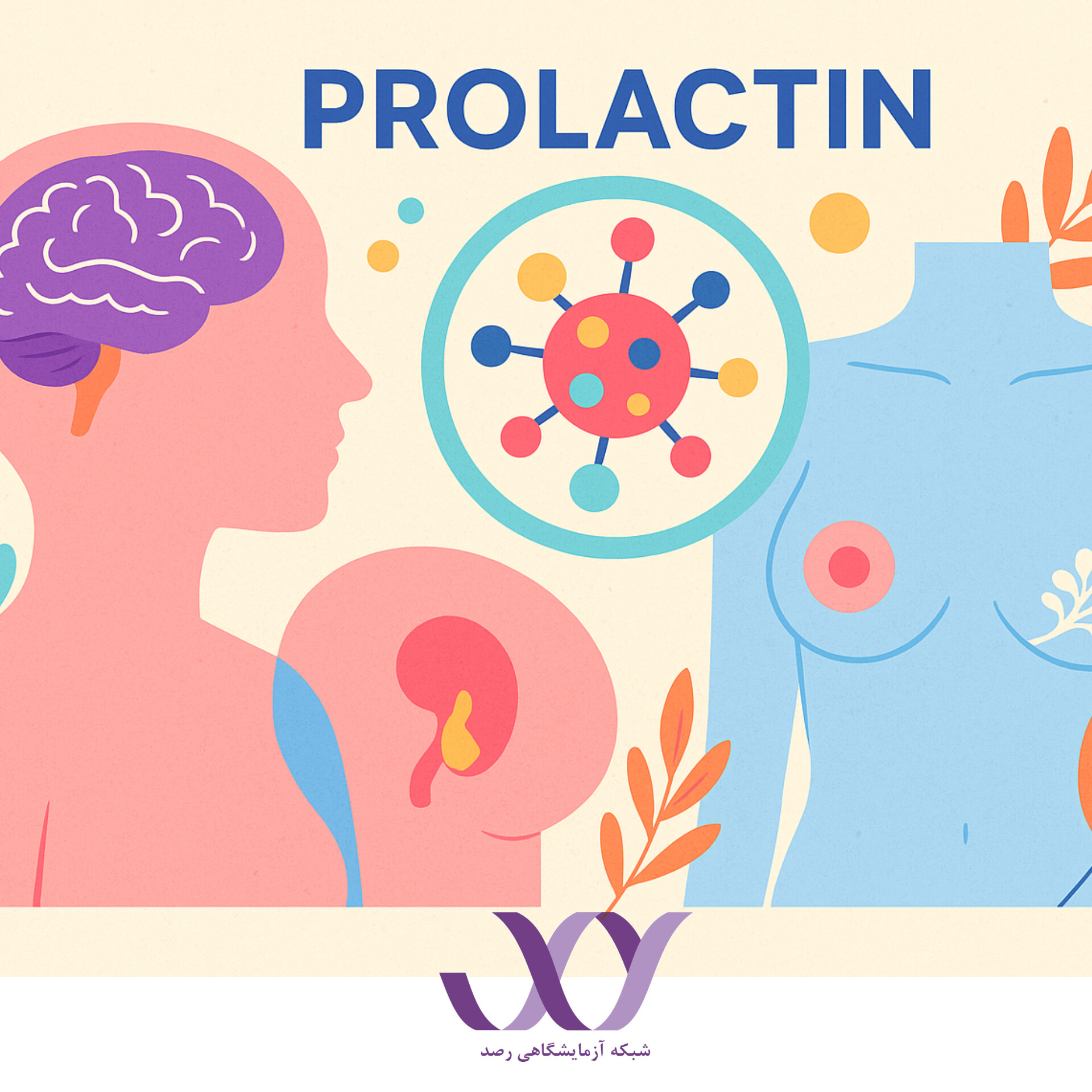 هورمون پرولاکتین و آزمایش آن