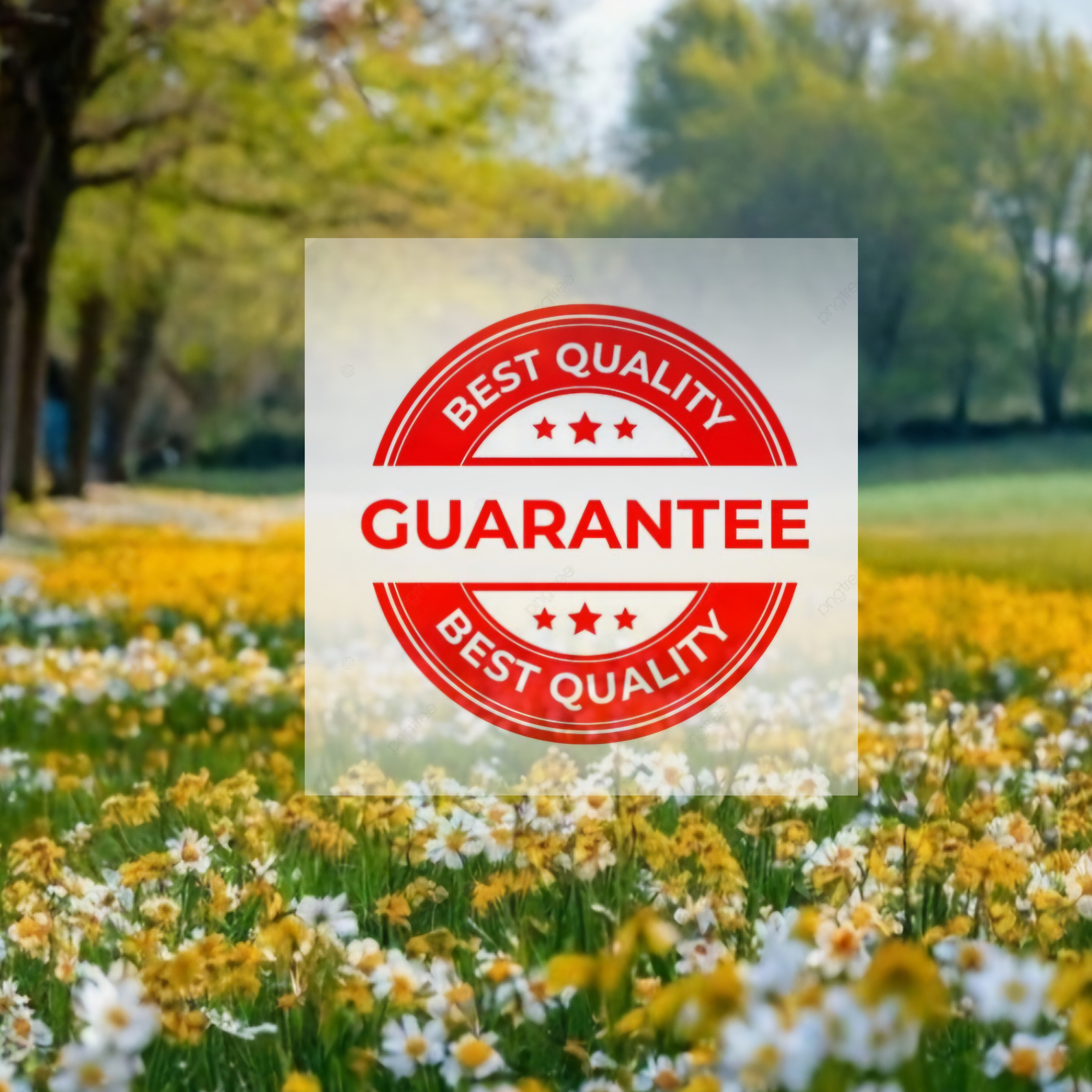 کنترل کیفی داخلی تابستان 1403