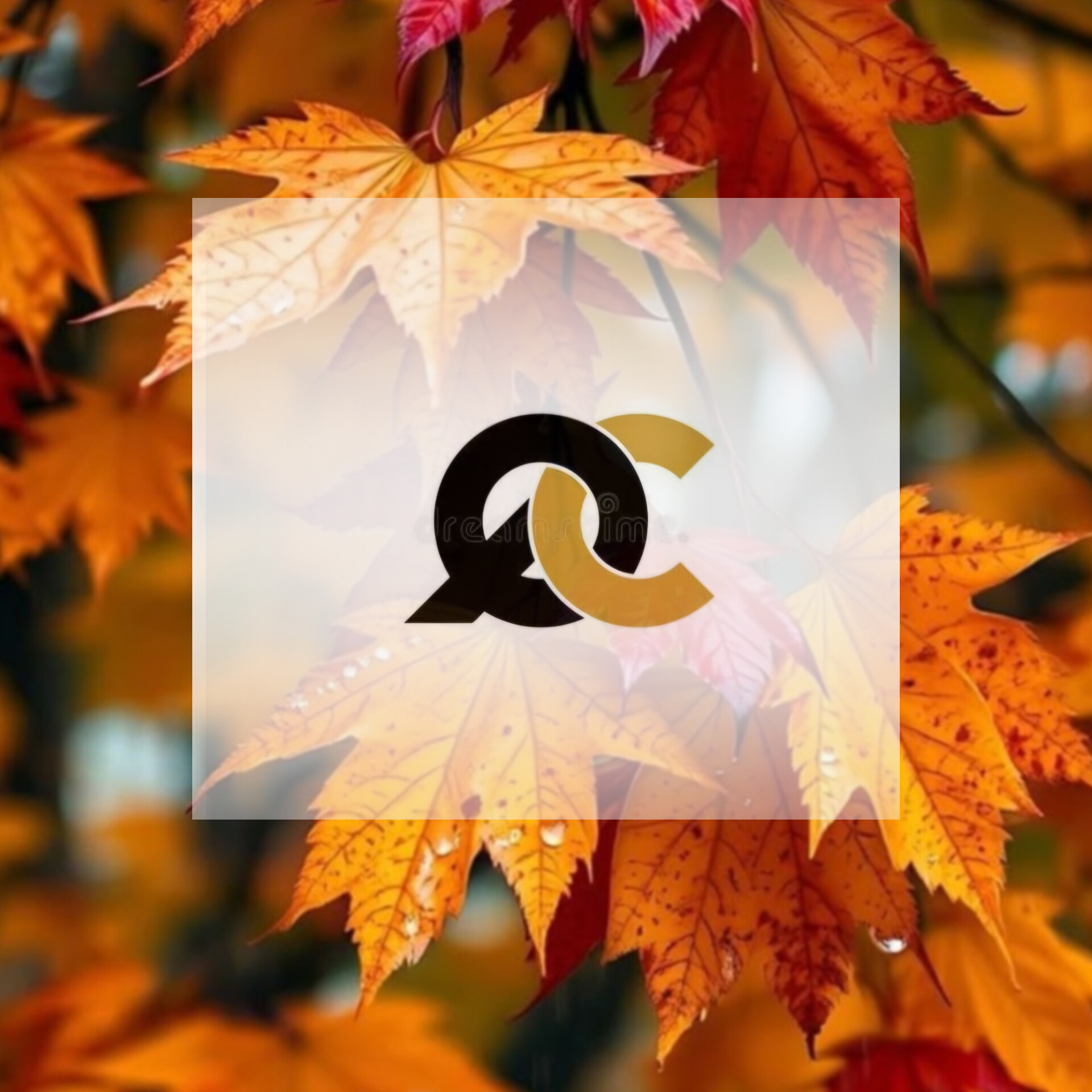 نتایج کنترل کیفی خارجی دوره پاییز1403 EQAP